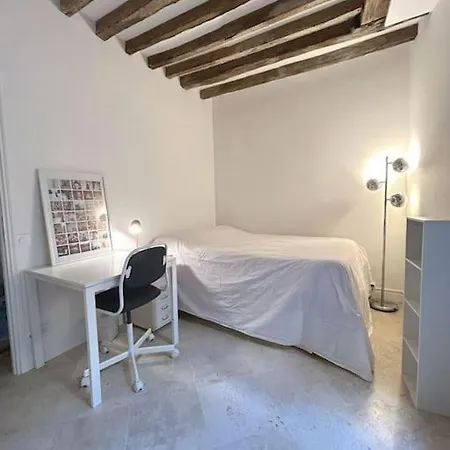 Duplex Sur 2 Etages - Le Marais - Centre